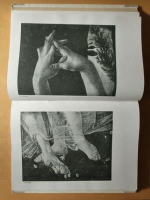 「三美神」の手と足 「三美神」の手と足