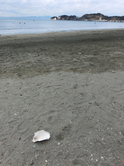 材木座の海 材木座の海