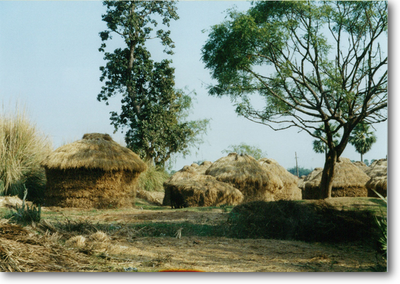 スジャーター村2